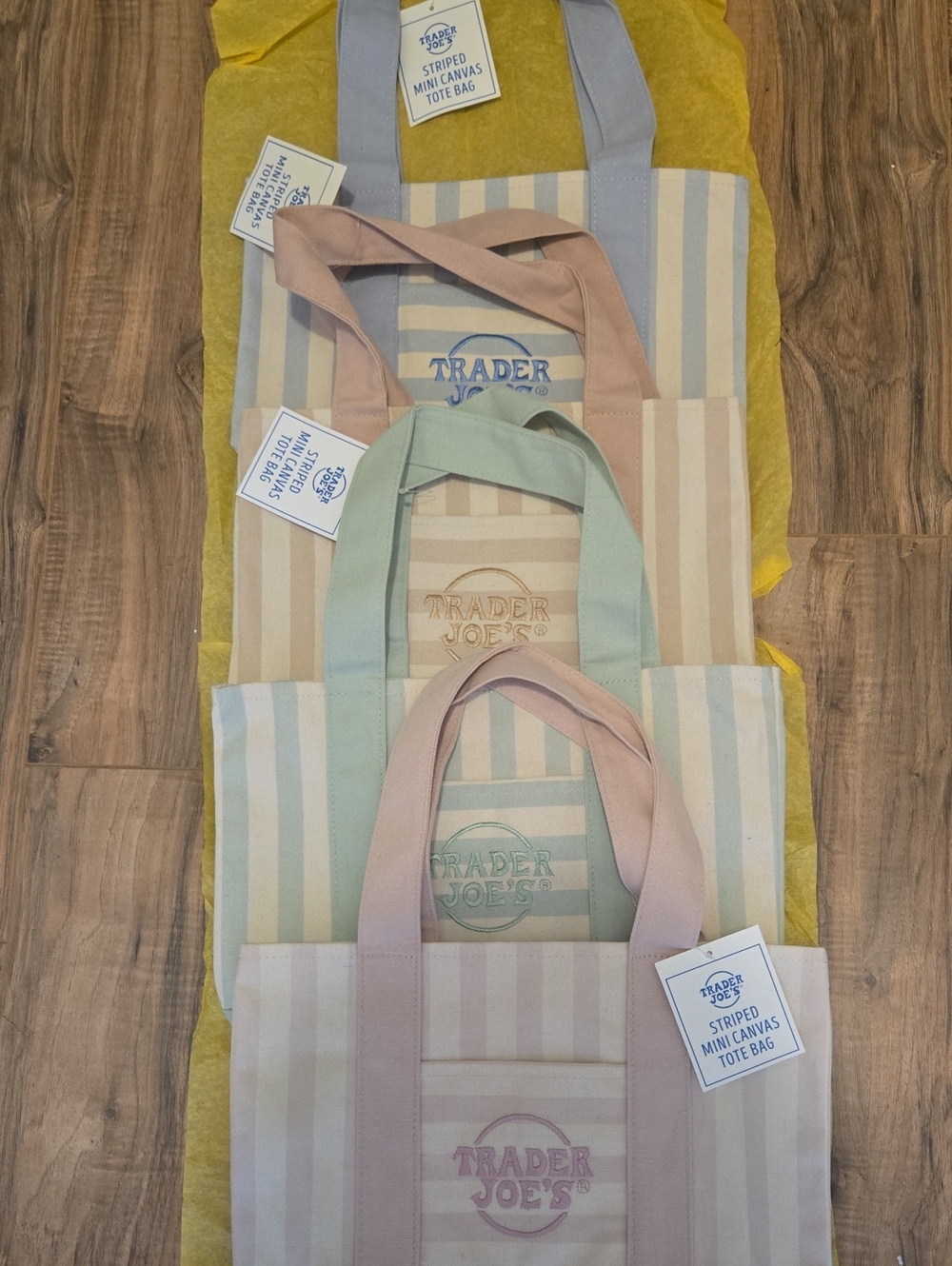 Trader Joe's Mini Canvas Tote Bag SET - Pastel Stripes